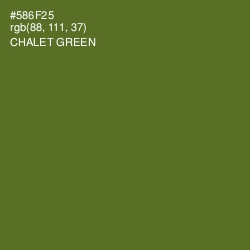 #586F25 - Chalet Green Color Image