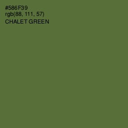 #586F39 - Chalet Green Color Image