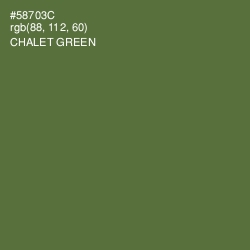 #58703C - Chalet Green Color Image
