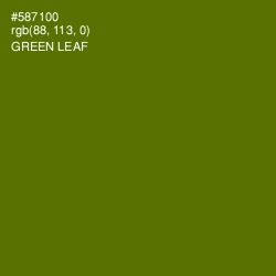 #587100 - Green Leaf Color Image