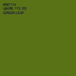 #587114 - Green Leaf Color Image