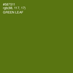 #587511 - Green Leaf Color Image