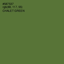 #587537 - Chalet Green Color Image