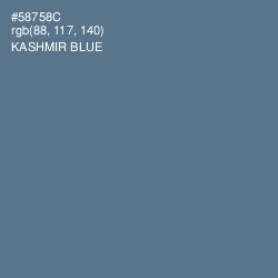 #58758C - Kashmir Blue Color Image