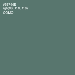 #58766E - Como Color Image