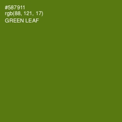 #587911 - Green Leaf Color Image