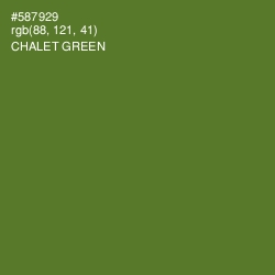 #587929 - Chalet Green Color Image