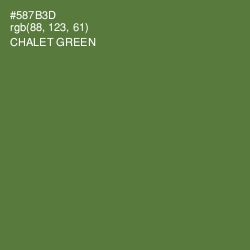 #587B3D - Chalet Green Color Image