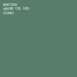 #587D69 - Como Color Image