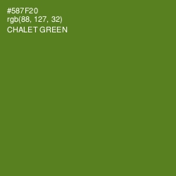 #587F20 - Chalet Green Color Image