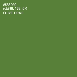#588039 - Olive Drab Color Image