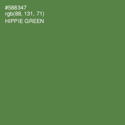 #588347 - Hippie Green Color Image