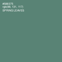 #588375 - Spring Leaves Color Image