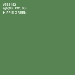 #588453 - Hippie Green Color Image