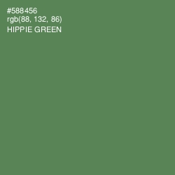 #588456 - Hippie Green Color Image