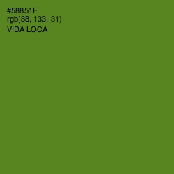 #58851F - Vida Loca Color Image