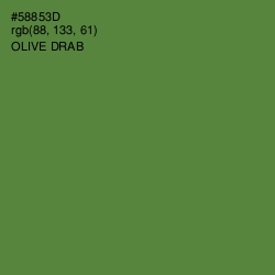 #58853D - Olive Drab Color Image