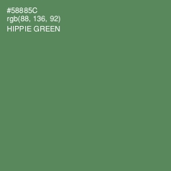 #58885C - Hippie Green Color Image