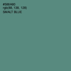 #588A80 - Smalt Blue Color Image