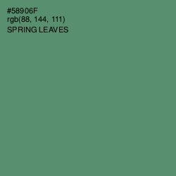 #58906F - Spring Leaves Color Image