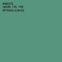 #58957E - Spring Leaves Color Image