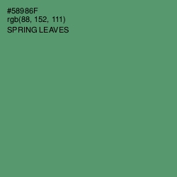 #58986F - Spring Leaves Color Image