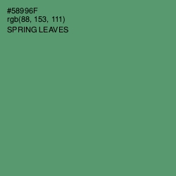 #58996F - Spring Leaves Color Image