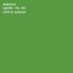 #589A42 - Hippie Green Color Image