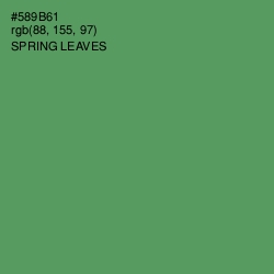 #589B61 - Spring Leaves Color Image