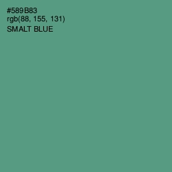 #589B83 - Smalt Blue Color Image