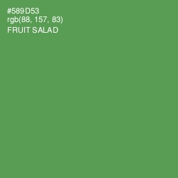 #589D53 - Fruit Salad Color Image