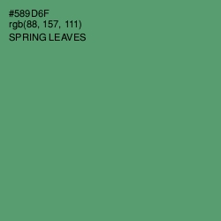#589D6F - Spring Leaves Color Image