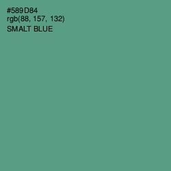 #589D84 - Smalt Blue Color Image
