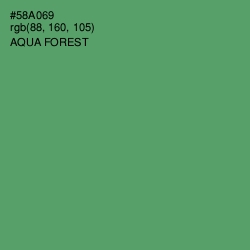 #58A069 - Aqua Forest Color Image