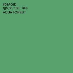 #58A06D - Aqua Forest Color Image