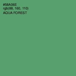 #58A06E - Aqua Forest Color Image