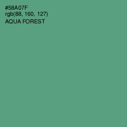 #58A07F - Aqua Forest Color Image