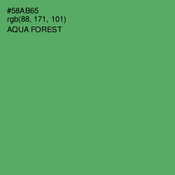 #58AB65 - Aqua Forest Color Image