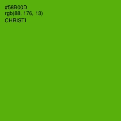 #58B00D - Christi Color Image