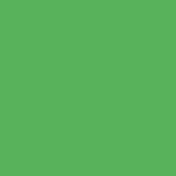 #58B25C - Fern Color Image