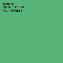 #58B378 - Aqua Forest Color Image