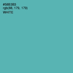 #58B3B3 - Fountain Blue Color Image