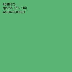 #58B573 - Aqua Forest Color Image