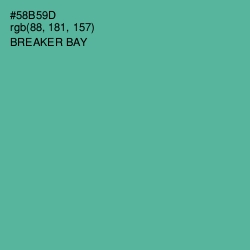 #58B59D - Breaker Bay Color Image