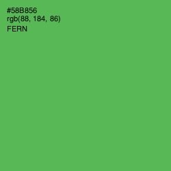 #58B856 - Fern Color Image