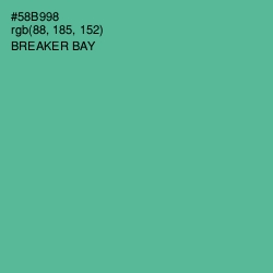 #58B998 - Breaker Bay Color Image