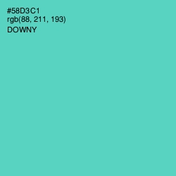 #58D3C1 - Downy Color Image