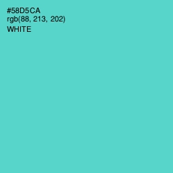 #58D5CA - Viking Color Image