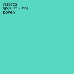 #58D7C3 - Downy Color Image