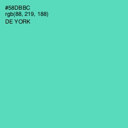 #58DBBC - De York Color Image